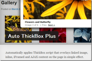 Auto ThickBox Plus in italiano