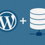 wordress+database